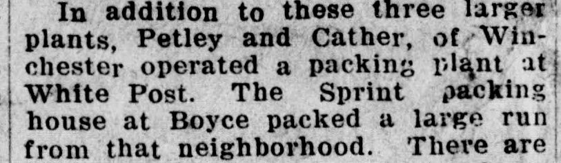 Six lines of a narrow newspaper column in heavy type. They read that, in addition to three larger plants, Petley and Cather, of Winchester operated a packing plant at White Post, and that the Sprint packing house at Boyce packed a large run from that neighborhood; the last line begins the next sentence with "There are".