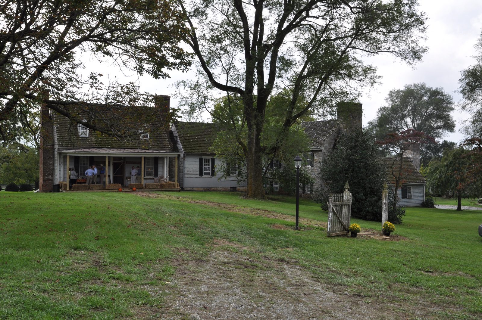 A long white weatherboarded farmhouse on mown grass under an overcast sky, seen from across the lawn. Its wood-shingled roof carries two dormers and two chimneys, one of brick at the near end and one of stone further along, and a lower wing runs off to the right. A porch on the near wing is edged with straw bales and two pumpkins, and several visitors stand under it. A large tree rises in front of the house, a wooden gate and two pots of chrysanthemums stand to the right, and a rutted track curves across the grass toward the camera.