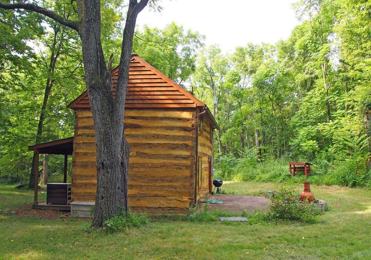 The back corner of the log cabin seen past the trunk of a large tree, with a small shed-roofed porch on one side and a grill and chiminea on the lawn.