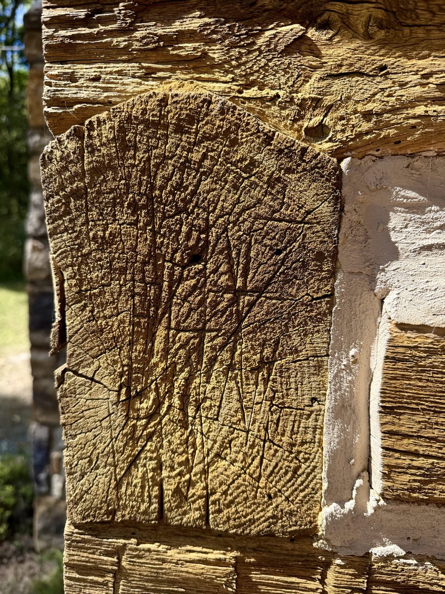 A close view of a weathered log end at the corner with a rounded, shaped upper edge under the log above, its end grain crossed by several straight diagonal cut lines and fine cracks, beside a chinked joint.