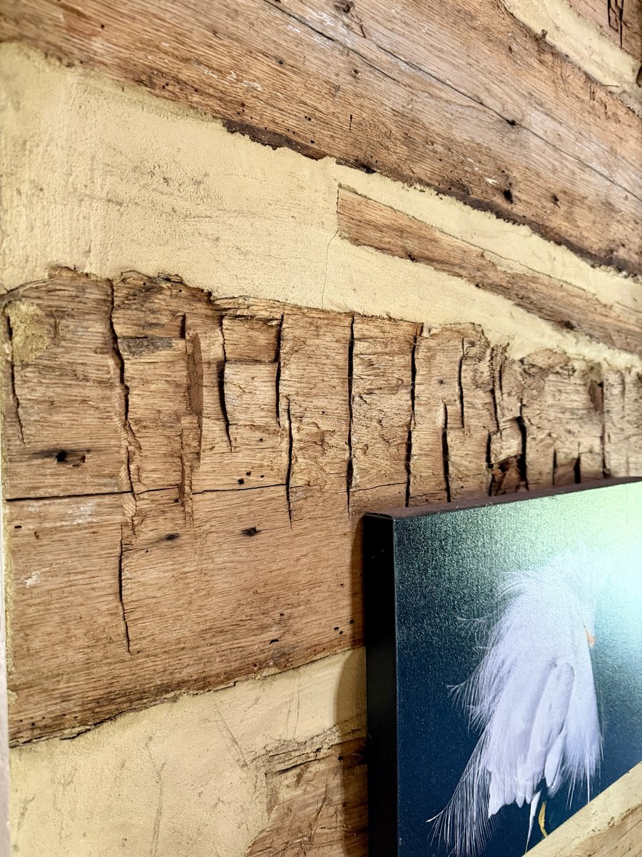 A close, angled view along a log wall: one log's flattened face is crossed by a row of short, deep, roughly vertical cuts, with pale chinking above and below and the edge of a framed picture of a white egret hanging on the wall.