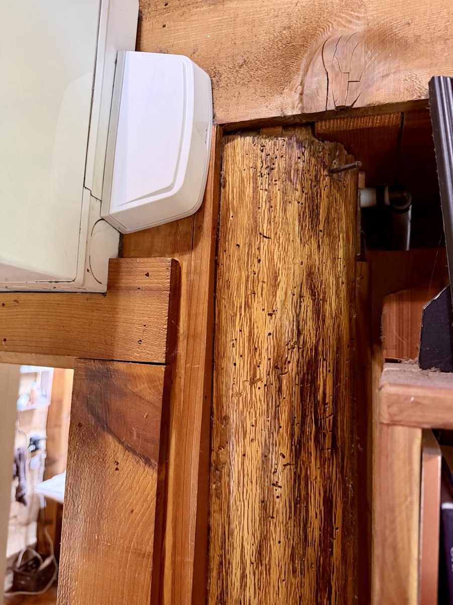 A close view of a rounded vertical timber, its surface pocked with many small holes and a nail near the top, standing beside a doorway between flat sawn boards, with a log above showing cracks in its end and a white wall-mounted unit at the upper left.